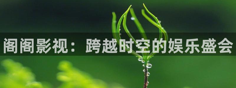 被窝午夜电影网：阁阁影视：跨越时空的娱乐盛会