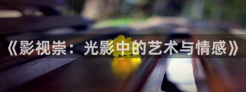 噜噜噜被窝影院：《影视崇：光影中的艺术与情感》