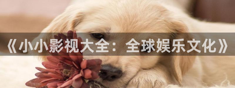 被窝影视app：《小小影视大全：全球娱乐文化》