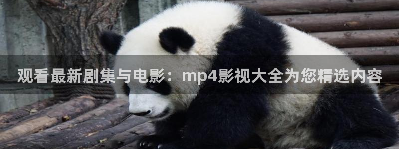 被窝影院午夜片：观看最新剧集与电影：mp4影视大全为您精选内容