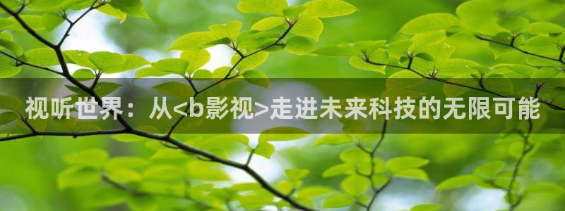 被窝窝影院：视听世界：从<b影视>走进未来科技的无限可能
