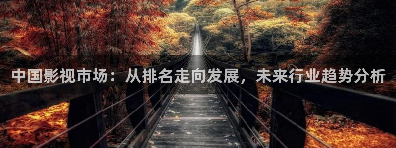 被窝午夜电影网：中国影视市场：从排名走向发展，未来行业趋势分析