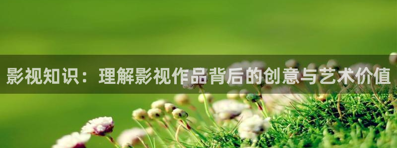 被窝福利影院：影视知识：理解影视作品背后的创意与艺术价值